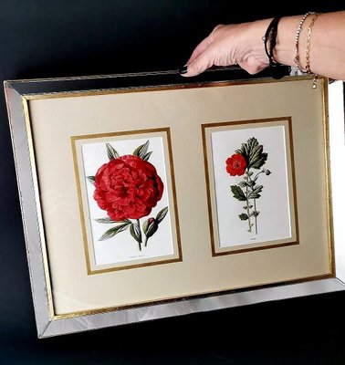 English Artist, Flowers, Chromolithographic Print Diptych, 1900, Framed-QRS-1788228