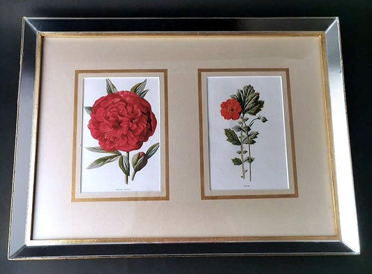 English Artist, Flowers, Chromolithographic Print Diptych, 1900, Framed