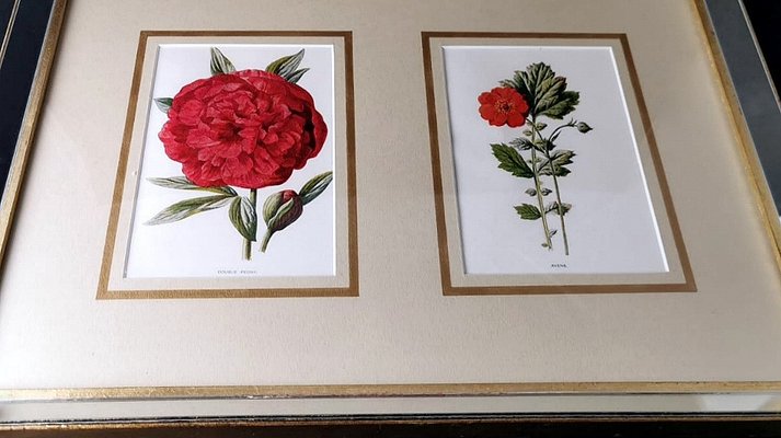 English Artist, Flowers, Chromolithographic Print Diptych, 1900, Framed-QRS-1788228