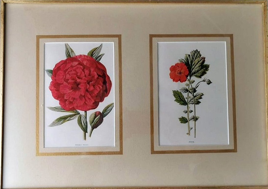 English Artist, Flowers, Chromolithographic Print Diptych, 1900, Framed