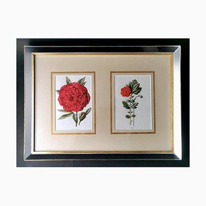 English Artist, Flowers, Chromolithographic Print Diptych, 1900, Framed-QRS-1788228