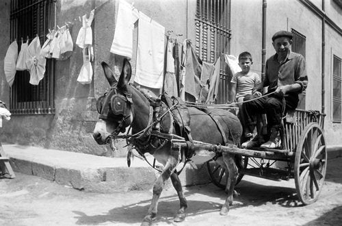 Erich Andres, Man with Donkey in Tossa De Mar, Catalonia, 1957, Silver Gelatin Print