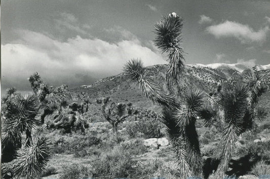 Erich Andres, Mojave Desert, California, USA, 1960s, Black and White Photograph