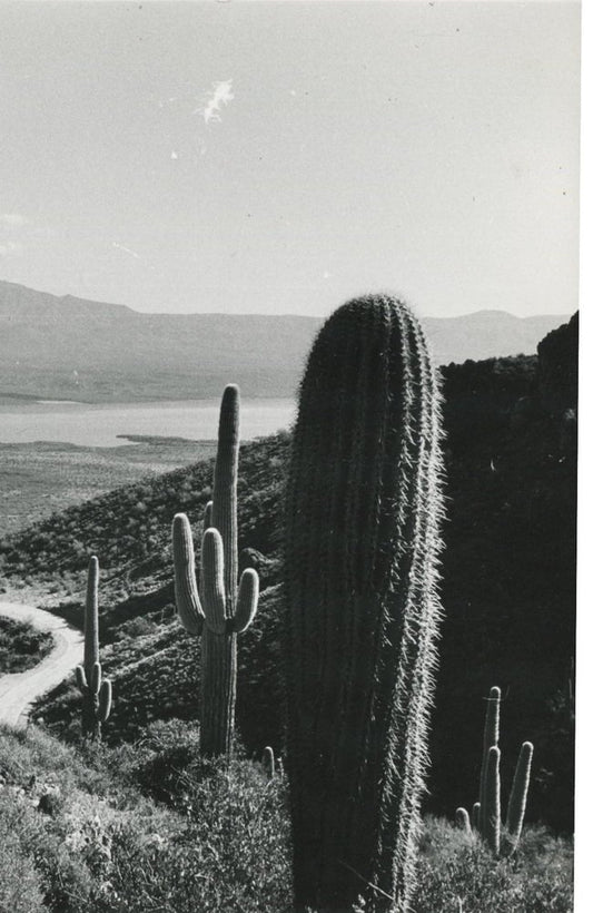 Erich Andres, Mojave Desert, California, USA, 1960s, Silver Gelatin Print