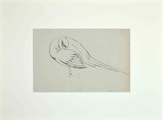 Eugène Juillerat, Sleeping Bird, Drawing, 1920-ZCI-1164106