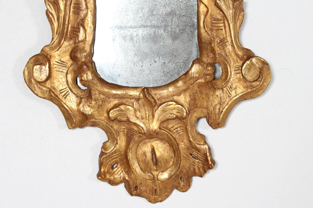 European Rococo Giltwood Mirror with Openwork Ornaments & Mirror Glass, 1800s