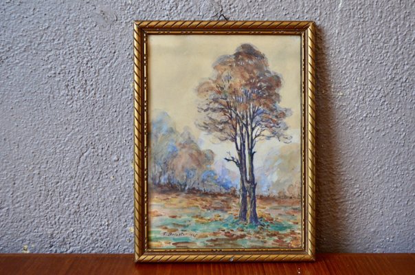 F. Brinster, Forest Landscape, 1925, Watercolor, Framed-AIU-1758395