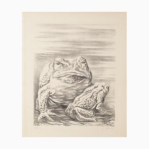 Fabrizio Clerici - The Frogs - Lithograph - 1940 Ca-ZCI-845756