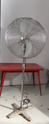 Fan-NA-954023