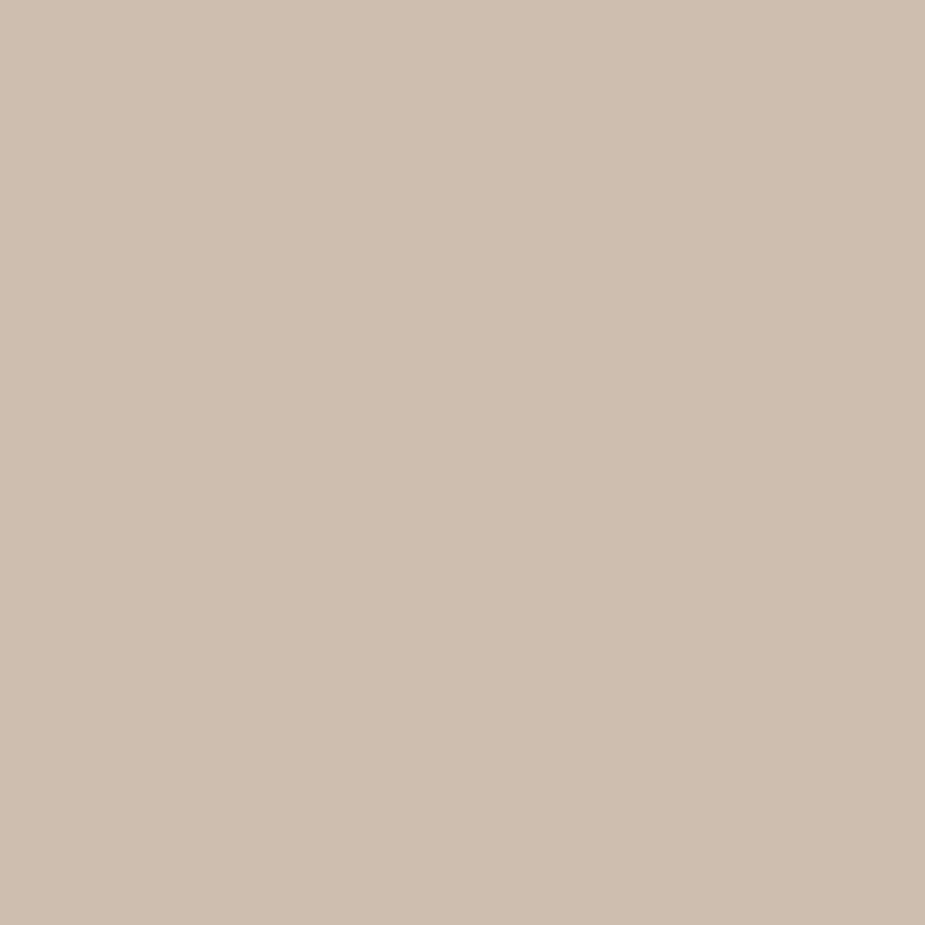 feet-finish-sand-ncs-s2005-y40r