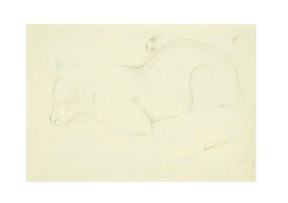 Feline Sleeping - Original Pencil Drawing by Ernest Rouart - 1890s 1890s-ZCI-755804