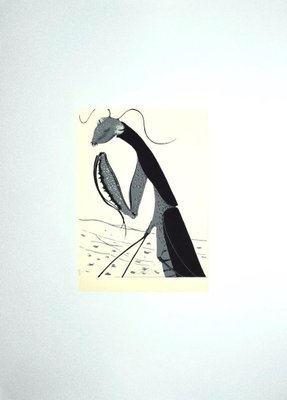 Felix Labisse, Mantis Religiosa, Screen Print, 1970s-ZCI-803779