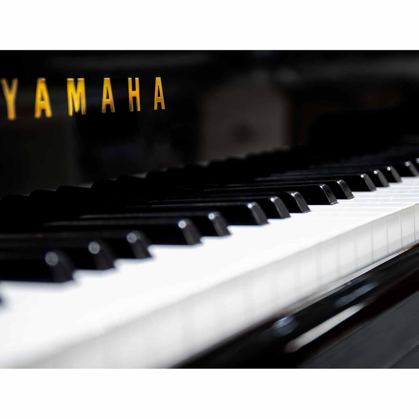 FILIGREE GRAND PIANO - Piano