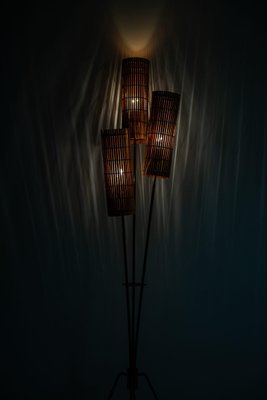 Finnish Floor Lamp, 1950s-SC-753410