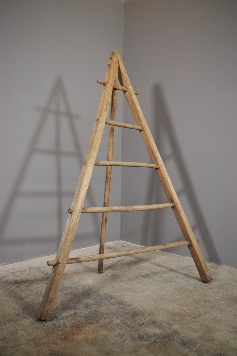 Fir & Beech Wood Ladder