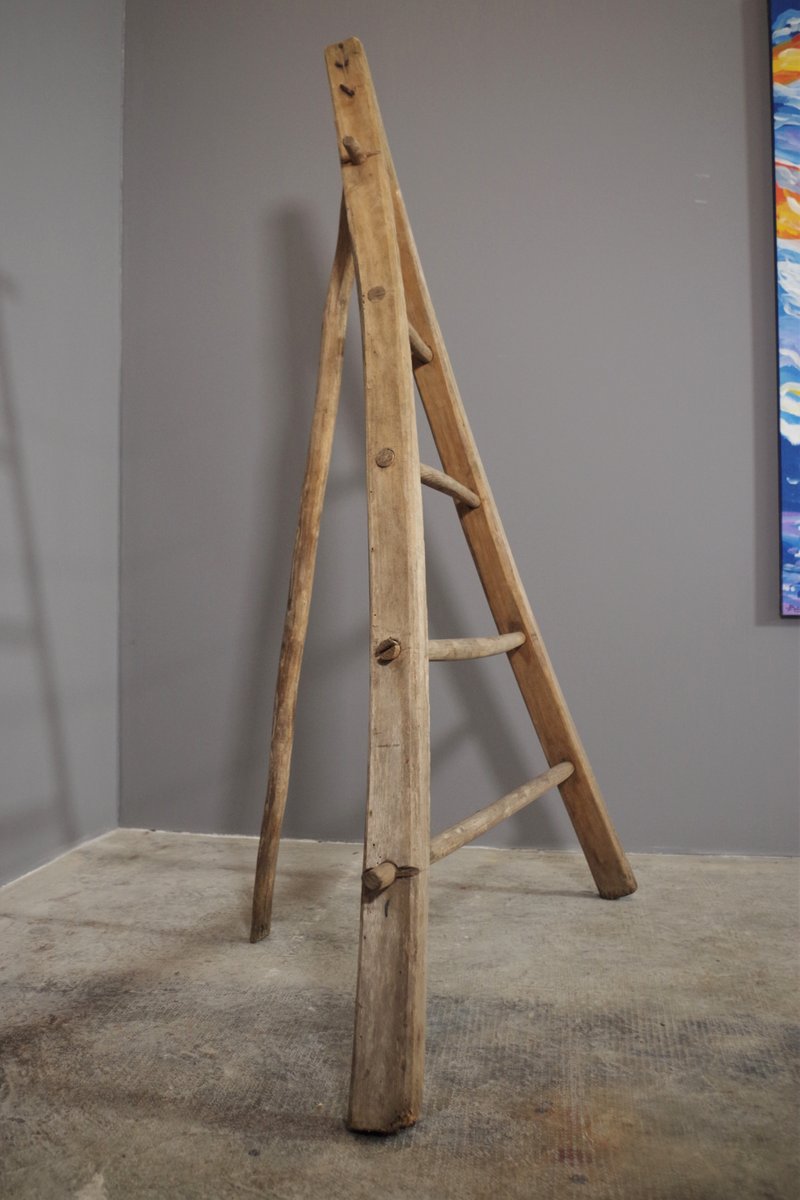 Fir & Beech Wood Ladder