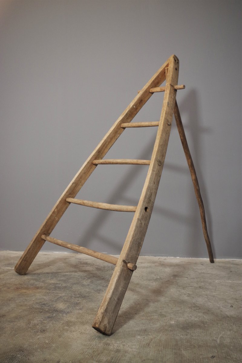 Fir & Beech Wood Ladder