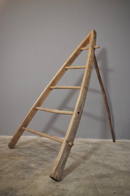 Fir & Beech Wood Ladder