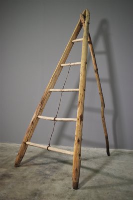 Fir & Beech Wood Ladder-KNM-1138179