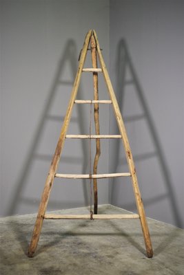 Fir & Beech Wood Ladder-KNM-1138179