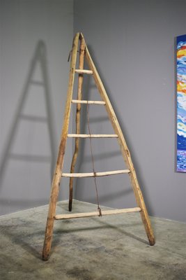 Fir & Beech Wood Ladder-KNM-1138179