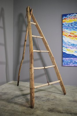 Fir & Beech Wood Ladder-KNM-1138179