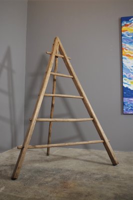 Fir & Beech Wood Ladder-KNM-1138280