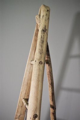 Fir & Beech Wood Ladder-KNM-1138179