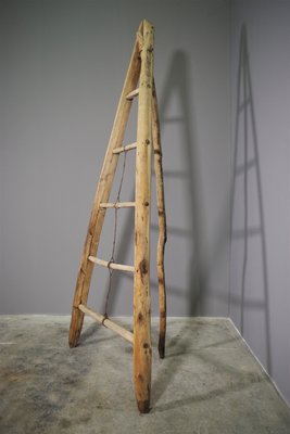 Fir & Beech Wood Ladder-KNM-1138179