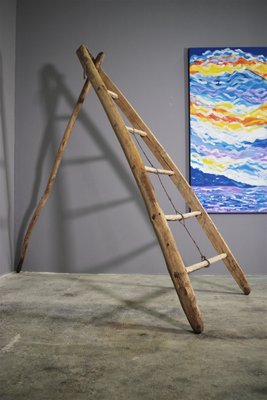 Fir & Beech Wood Ladder-KNM-1138179