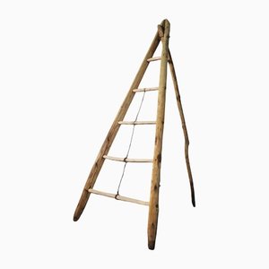 Fir & Beech Wood Ladder-KNM-1138179