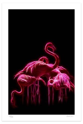 Flamingos Giclée Print by Dadodu, 2019-ZCI-781426