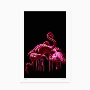 Flamingos Giclée Print by Dadodu, 2019-ZCI-781426