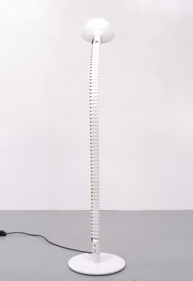 Flex Capo Floor Lamp by Elio Martinelli for Martinelli Luce, Italy, 1972-GCG-1759340