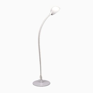 Flex Capo Floor Lamp by Elio Martinelli for Martinelli Luce, Italy, 1972-GCG-1759340