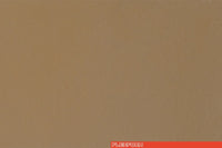 SAND 5001