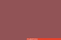 Glossy Salmon 1270