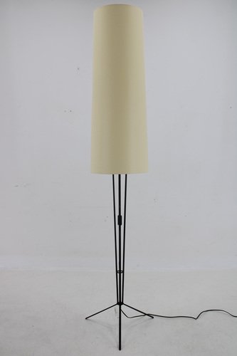 Floor Lamp attributed to Pokrok Zilina, Czechoslovakia, 1970s