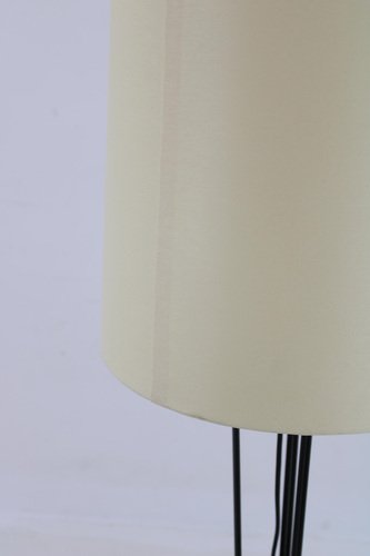 Floor Lamp attributed to Pokrok Zilina, Czechoslovakia, 1970s