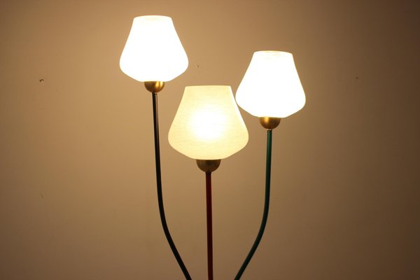 Floor Lamp, Czechoslovakia, 1960s-TZ-1406746