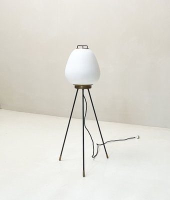 Floor Lamp from Stilnovo, 1950s-LKT-1815297