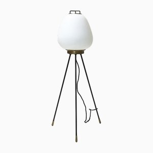 Floor Lamp from Stilnovo, 1950s-LKT-1815297