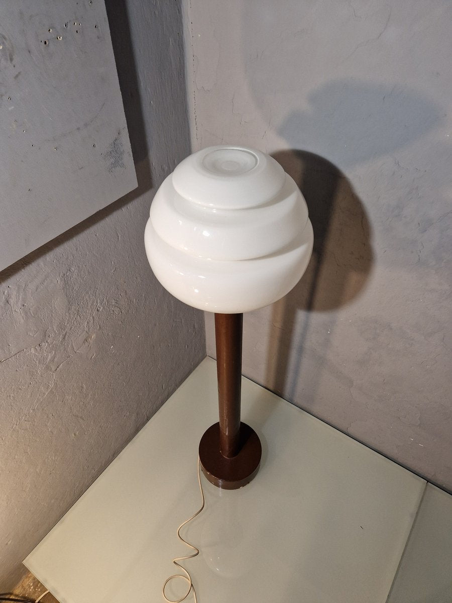 Floor Lamp with Cast Iron Base by Roberto Pamio for Leucos, 1960s