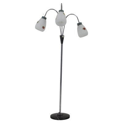 Floor Lamp with Glass Shades, Czechoslovakia, 1960s-TZ-1407612