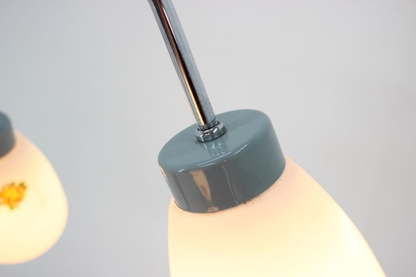 Floor Lamp with Glass Shades, Czechoslovakia, 1960s-TZ-1407612