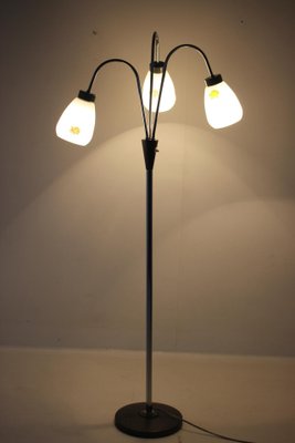 Floor Lamp with Glass Shades, Czechoslovakia, 1960s-TZ-1407612