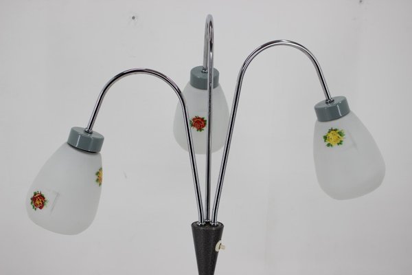 Floor Lamp with Glass Shades, Czechoslovakia, 1960s-TZ-1407612