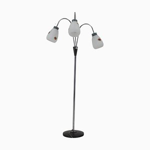 Floor Lamp with Glass Shades, Czechoslovakia, 1960s-TZ-1407612