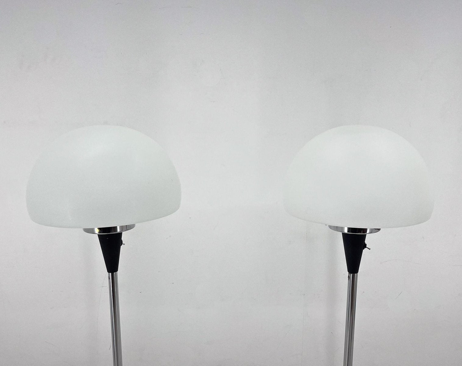 Floor Lamps attributed to Jaroslav Bejvl for Lidokov, 1960s, Set of 2