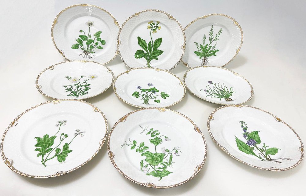 Flora Danica Porcelain Breakfast Plates by Bing & Grøndahl, Denmark, 1920s, Set of 9